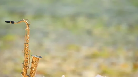 Mini model of real alt tenor saxophone stands white small pebbles on seashore Stock Footage 139074233