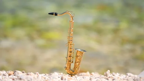 Mini model of real alt tenor saxophone stands white small pebbles on seashore Stock Footage 139074254