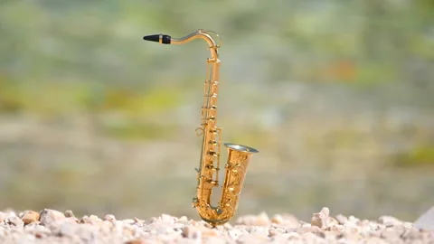 Mini model of real alt tenor saxophone stands white small pebbles on seashore Stock Footage 139074318