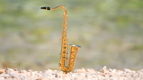 Mini model of real alt tenor saxophone stands on white small pebbles on seashore Stock Footage 147919011