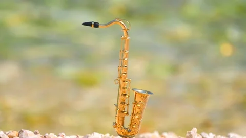 Mini model of real alt tenor saxophone stands on white small pebbles on seashore Stock Footage 147920153