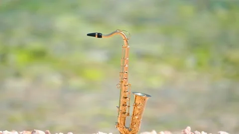 Mini model of real alt tenor saxophone stands on white small pebbles on seashore Stock Footage 147920273