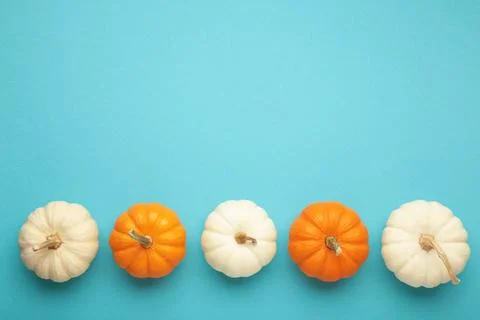 Mini orange and white pumpkins on blue background. Stock Photos