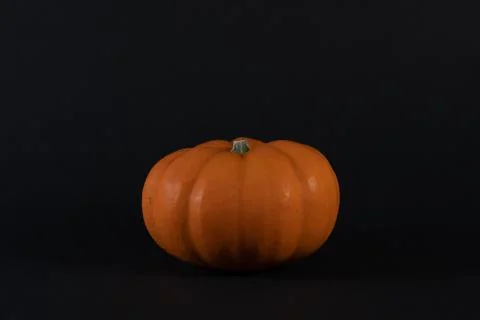 A mini orange pumpkin. Stock Photos