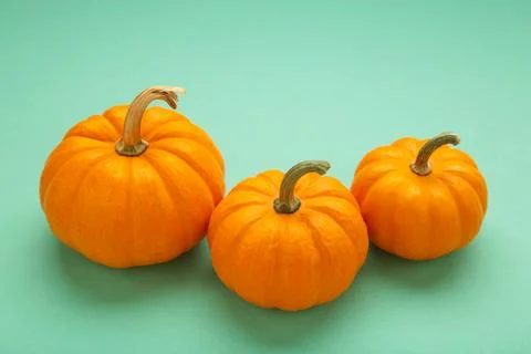 Mini orange pumpkins on mint background. Stock Photos