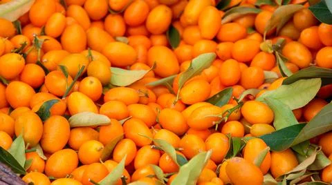 Mini oranges in bulk with leaves Stock Photos