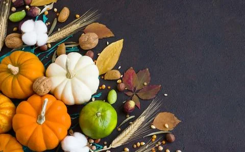 Mini ornamental pumpkins on dark surface Stock Photos