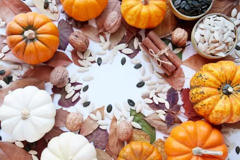 Mini ornamental pumpkins frame Foto stock