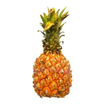 Mini pineapple close-up 3d rendering with realistic texture Stock Illustration