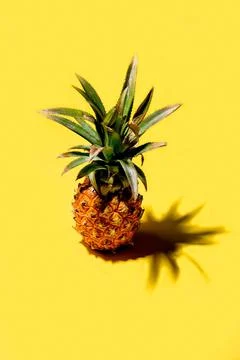 Mini pineapple on a solid yellow background Stock Photos