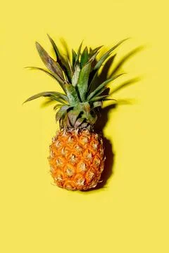 Mini pineapple on a solid yellow background 库存照片