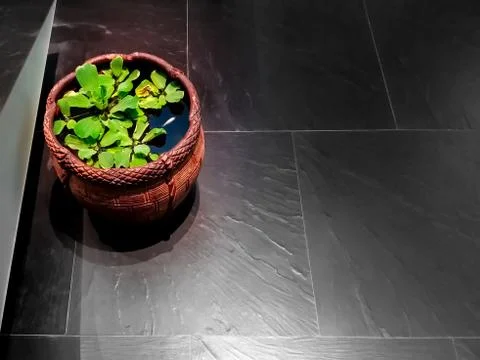 A Mini Pond in the Evening Foto stock