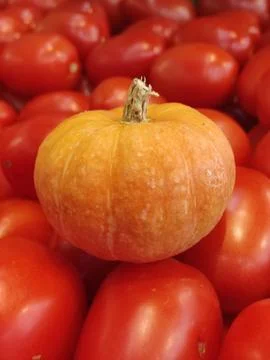 Mini pumpkin between red tomatoes Stock Photos