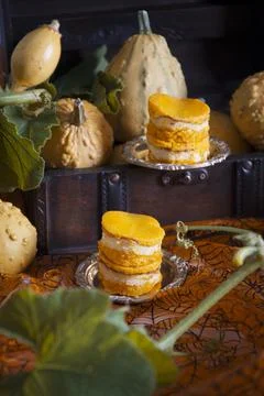 Mini pumpkin cheesecakes on a background of pumpkins, autumn, orange color food Stock Photos