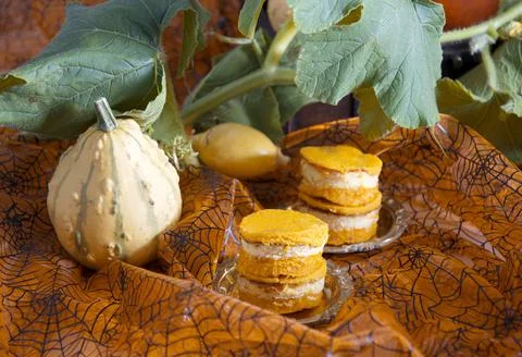 Mini pumpkin cheesecakes on a background of pumpkins, autumn, orange color food Stock Photos