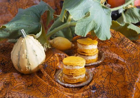 Mini pumpkin cheesecakes on a background of pumpkins, autumn, orange color food Stock Photos