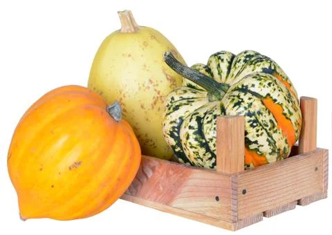 Mini pumpkin with crate isolated on white background Stock Photos