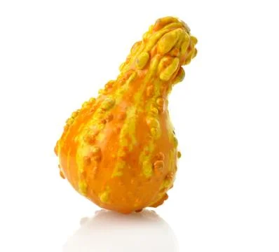 Mini pumpkin Stock Photos