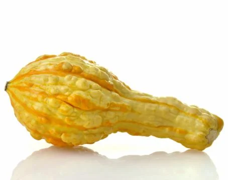Mini pumpkin Stock Photos