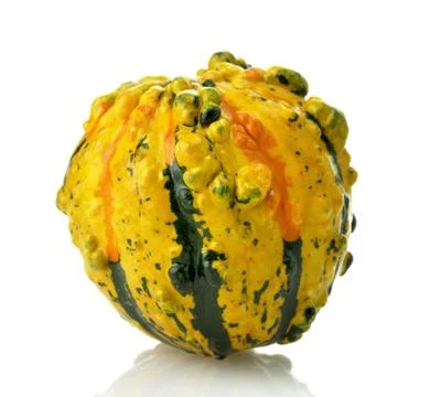 Mini pumpkin Stock Photos