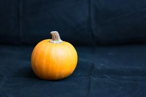 Mini pumpkin Stock Photos