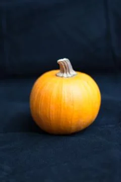 Mini pumpkin Stock Photos