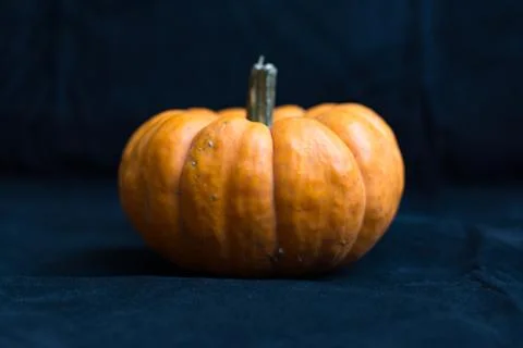 Mini pumpkin Stock Photos