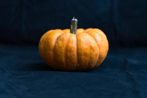 Mini pumpkin Stock Photos