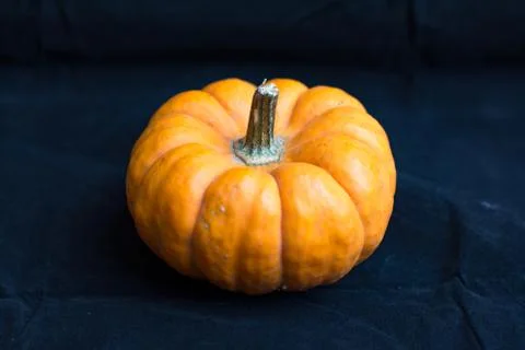 Mini pumpkin Stock Photos