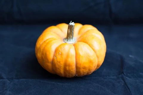 Mini pumpkin Stock Photos