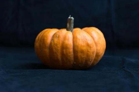 Mini pumpkin Stock Photos