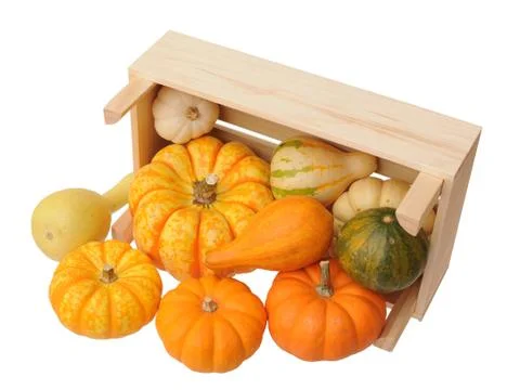 Mini pumpkin Stock Photos