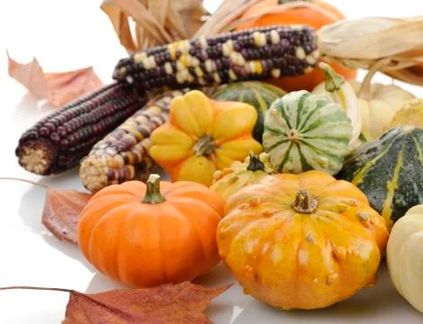 Mini pumpkins and indian corn Stock Photos