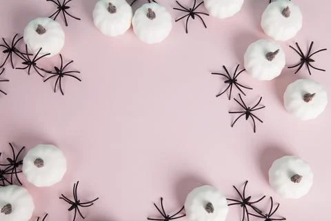 Mini pumpkins and numerous spiders forming a frame around a space left blan.. Stock Photos