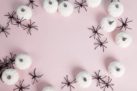 Mini pumpkins and numerous spiders forming a frame around a space left blan.. Stock Photos