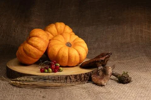 Mini pumpkins with autumn harvest elements on burlap background Stock Photos