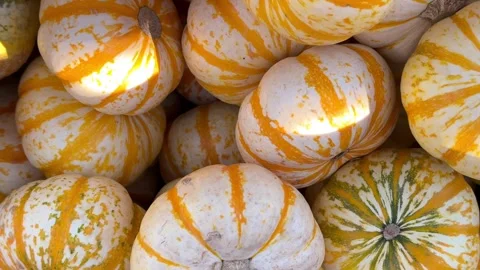 MINI PUMPKINS, CLOSE UP Stock Footage 290817036