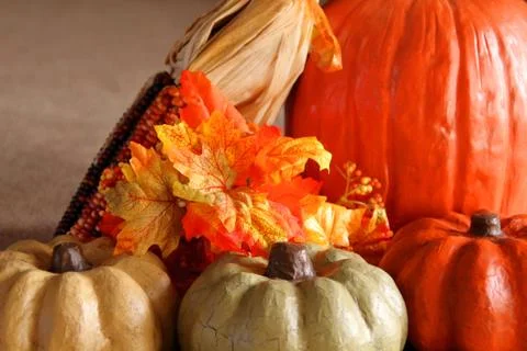 Mini Pumpkins Full Stock Photos