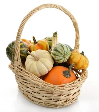 Mini pumpkins Stock Photos