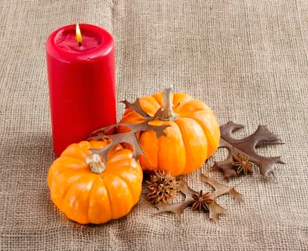 Mini pumpkins. Stock Photos