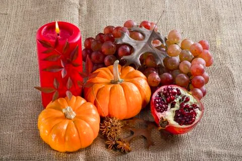 Mini pumpkins. Stock Photos