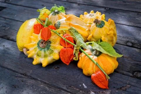 Mini Pumpkins Stock Photos