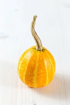 Mini pumpkins Stock Photos