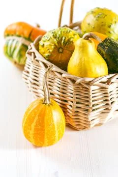 Mini pumpkins Stock Photos