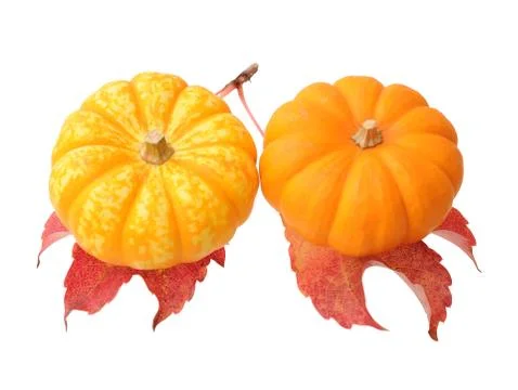 Mini pumpkins Stock Photos