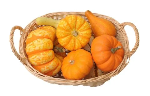 Mini pumpkins Stock Photos