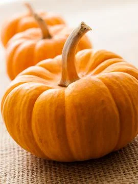 Mini Pumpkins Stock Photos