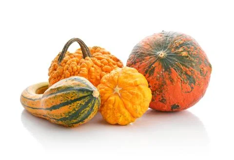 Mini pumpkins Stock Photos