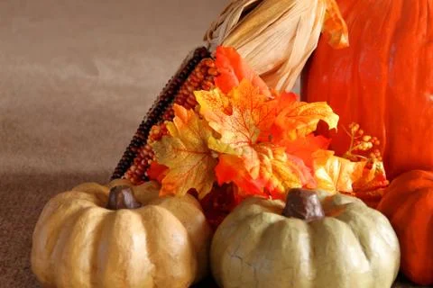 Mini Pumpkins Right Stock Photos
