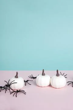 Mini pumpkins surrounded by an infestation of spiders on a pink background .. Stock Photos